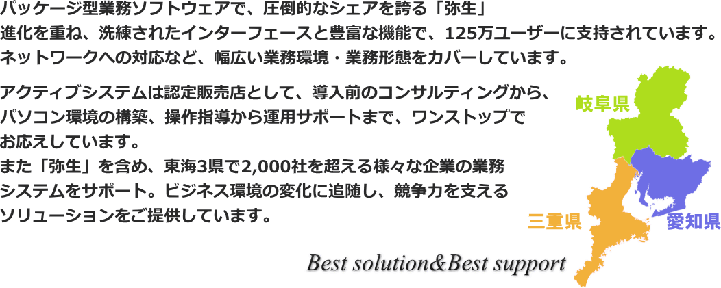 パッケージ型業務ソフトウェア