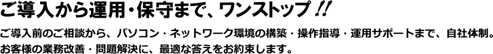 保守体制